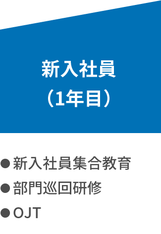 新入社員（1年目） ・新入社員集合教育 ・部門巡回研修 ・OJT