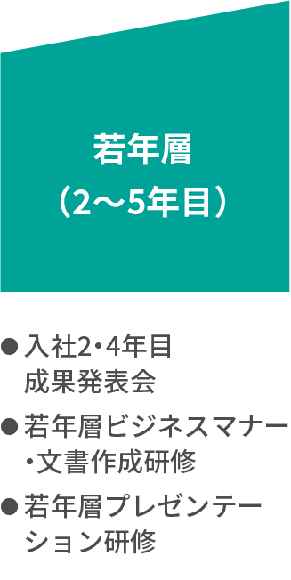 若年層（2〜5年目） ・入社2・4年目成果発表会 ・若年層ビジネスマナー・文書作成研修 ・若年層プレゼンテーション研修