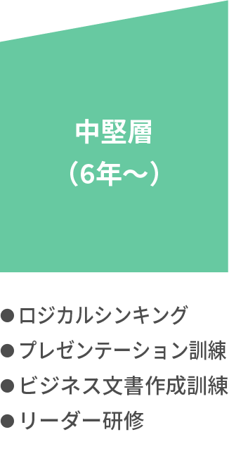 中堅層（6年〜） ・ロジカルシンキング ・プレゼンテーション訓練 ・ビジネス文書作成訓練 ・リーダー研修